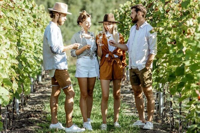 Queenstown Wine Tour - Gibbston Valley Cave | Kinross | Amisfield - Adults-only and a max of 10: why this pacing feels calmer
