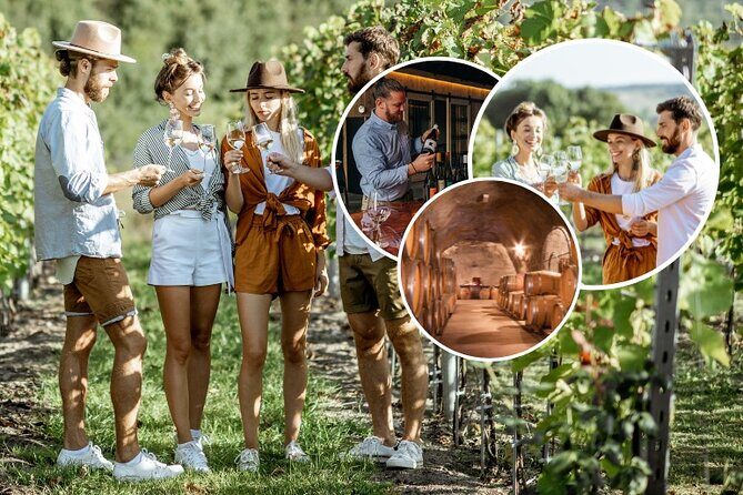 Queenstown Wine Tour - Gibbston Valley Cave | Kinross | Amisfield - Gibbston Valley wine cave tour: the coolest part is built in