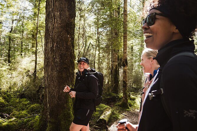 Scenic Helicopter & Kepler Guided Hike from Te Anau with Lunch - 8:45 Departure in Te Anau: Simple Start, Real Time in Nature