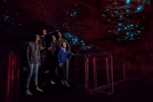 Te Anau Glow Worm Caves Tour - Lake Te Anau cruise to Cavern House: your calm warm-up
