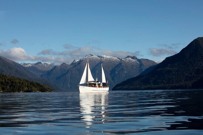 Te Anau Glow Worm Caves Tour - Glow worm grotto viewing: what you’re really looking at