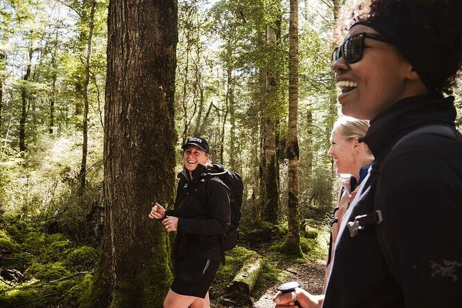 Te Anau Jetboat Experience, Kepler Guided Hike, Transport & Lunch - Rainbow Reach suspension bridge: where the hike ends