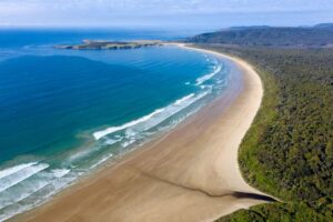 Te Anau to Dunedin via the Catlins & Invercargill 1 Way Tour - Invercargill: your mid-morning reset before the Catlins get wild