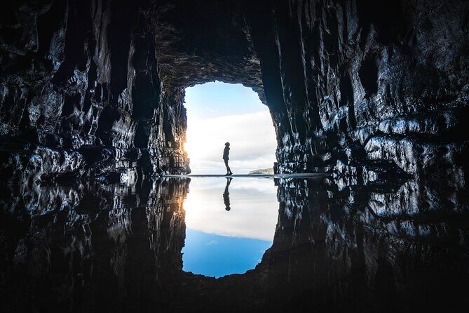 Te Anau to Dunedin Via The Catlins Small-Group Tour (One-Way) - Curio Bay fossil forest: the low-tide timing that makes the stop click