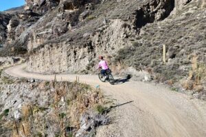The Ultimate Lake Dunstan Bike Hire And Boat Experience - Getting There (Without the Stress): Shuttles, Mobile Ticket, and the Right Meeting Point