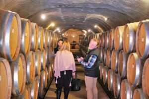 The Wine Trail Tour - Gibbston and the off-the-path vineyards that make Central Otago work