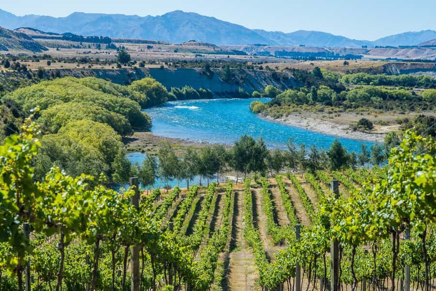 Wanaka: Afternoon Boutique Wine Tour - Key things I’d circle before booking