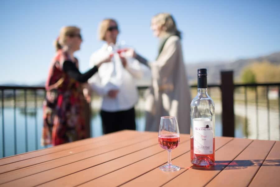 Wanaka: Afternoon Boutique Wine Tour - Why this Wanaka wine tour works so well at 5pm-adjacent time