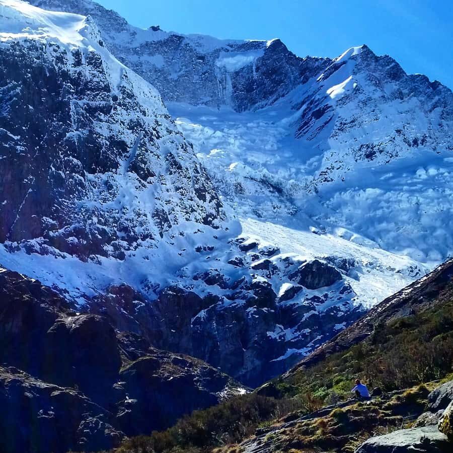 Wanaka: Rob Roy Glacier Guided Hike with Lunch - The 2.5-hour rainforest climb: learning the forest while your legs warm up