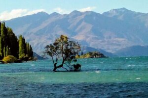 Wine Tasting Adventure Wanaka and Beyond - Wānaka start: the 10:30 meet-up that keeps things simple