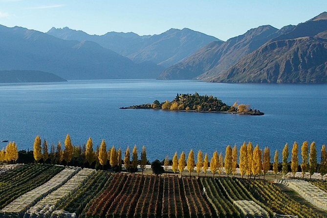 Wine Tour with Wine Tasting from Wanaka - Logistics that keep the day stress-free