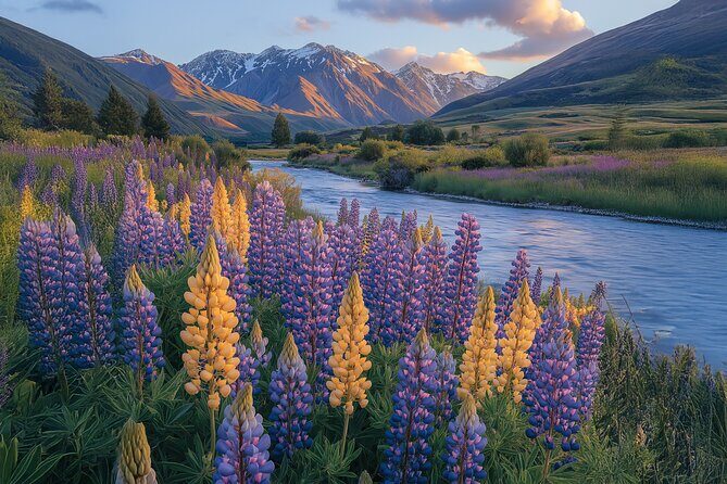 Wines and Views Private Wine Tour of Otago from Queenstown - Cromwell Heritage Precinct and Lake Dunstan views